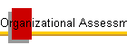 Organizational Assessment